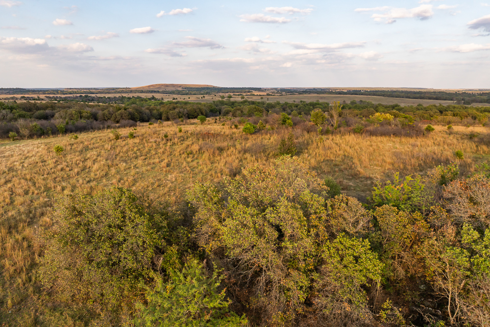 327 +/- Acres with Bird Creek Frontage in Osage County