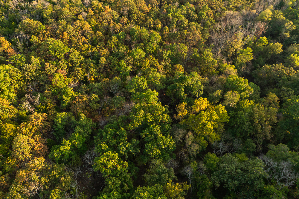 327 +/- Acres with Bird Creek Frontage in Osage County