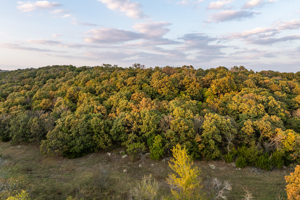 327 +/- Acres with Bird Creek Frontage in Osage County