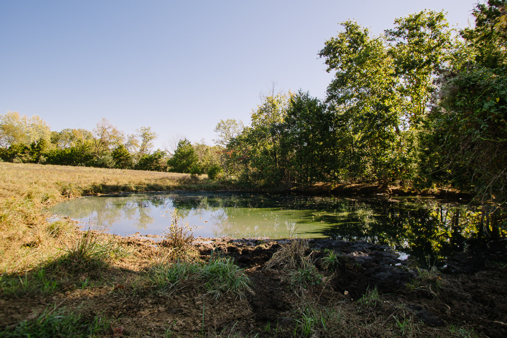 Perfect Build Site near Truman Lake in Lowry City