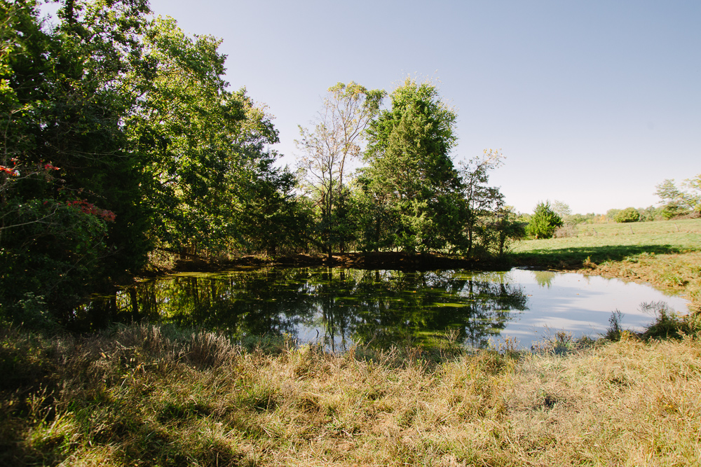 Perfect Build Site near Truman Lake in Lowry City