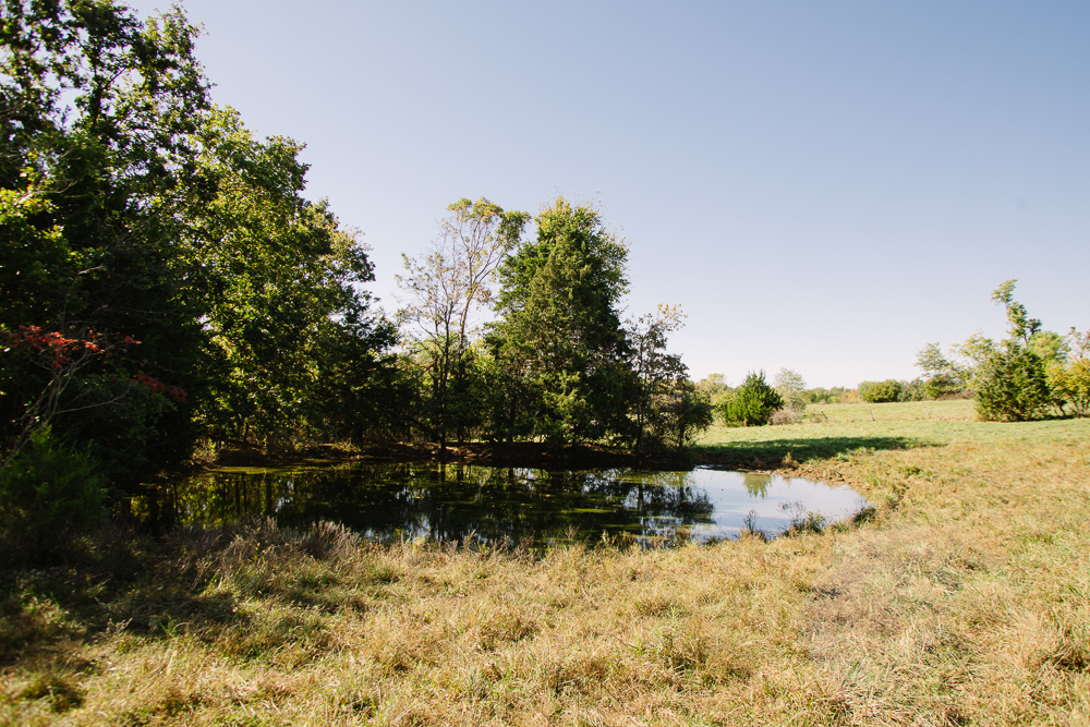 Perfect Build Site near Truman Lake in Lowry City