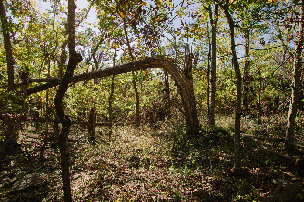 Perfect Build Site near Truman Lake in Lowry City