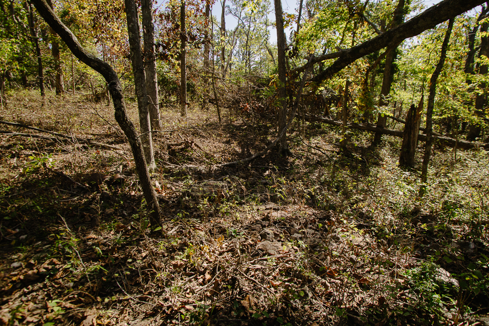 Perfect Build Site near Truman Lake in Lowry City