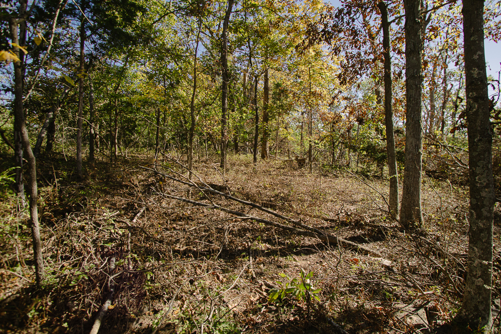 Perfect Build Site near Truman Lake in Lowry City