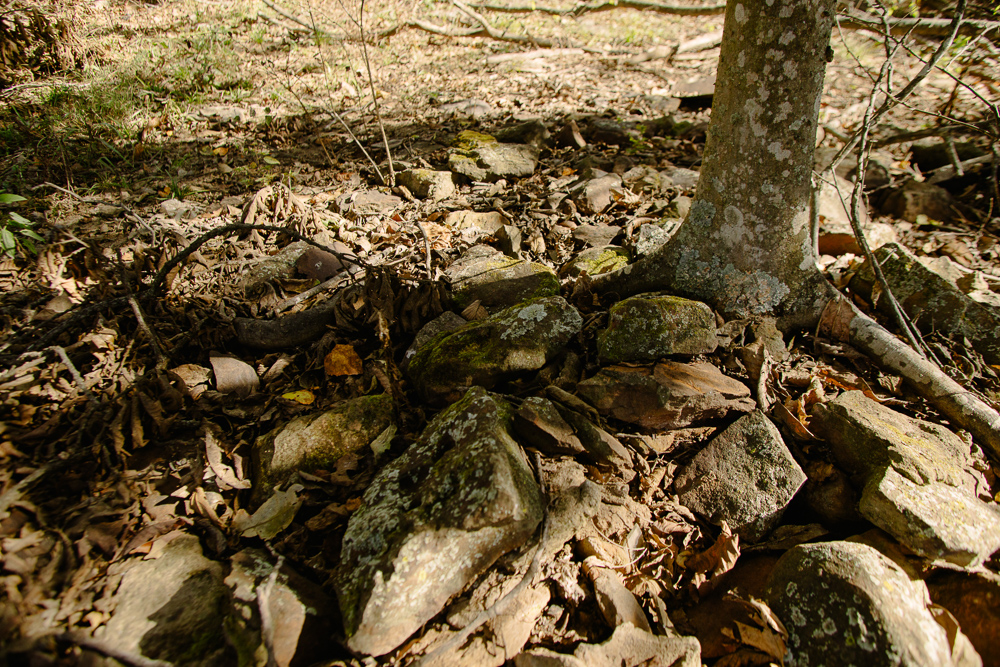 Perfect Build Site near Truman Lake in Lowry City