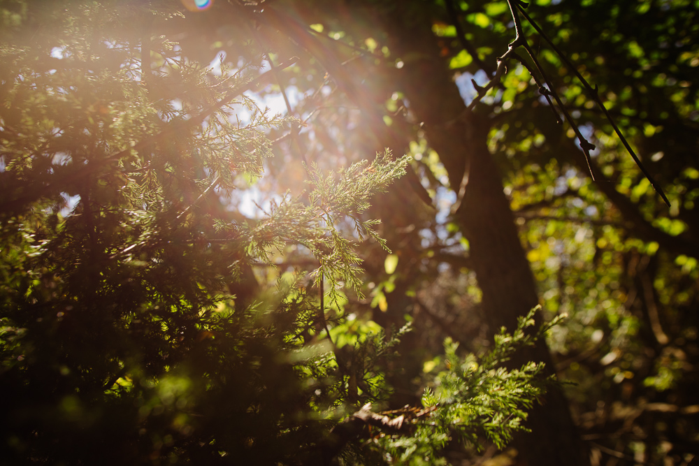 Perfect Build Site near Truman Lake in Lowry City