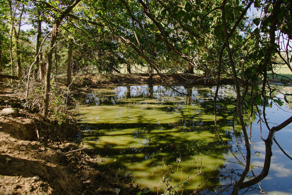 Perfect Build Site near Truman Lake in Lowry City