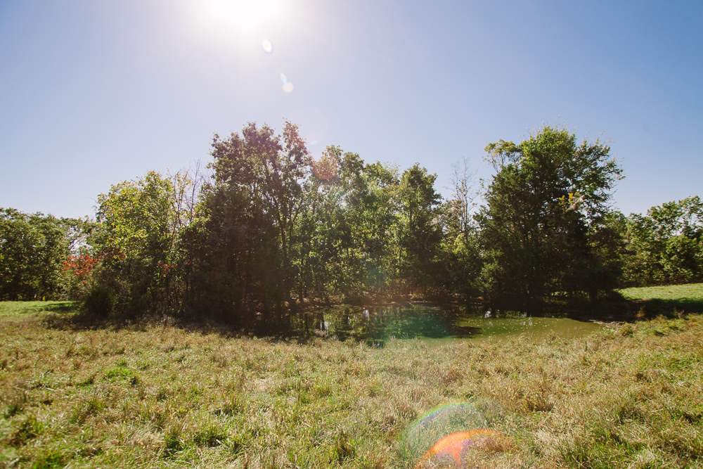 Perfect Build Site near Truman Lake in Lowry City