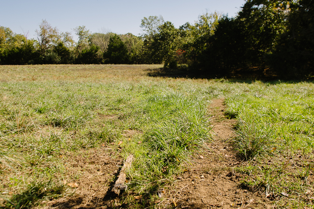 Perfect Build Site near Truman Lake in Lowry City