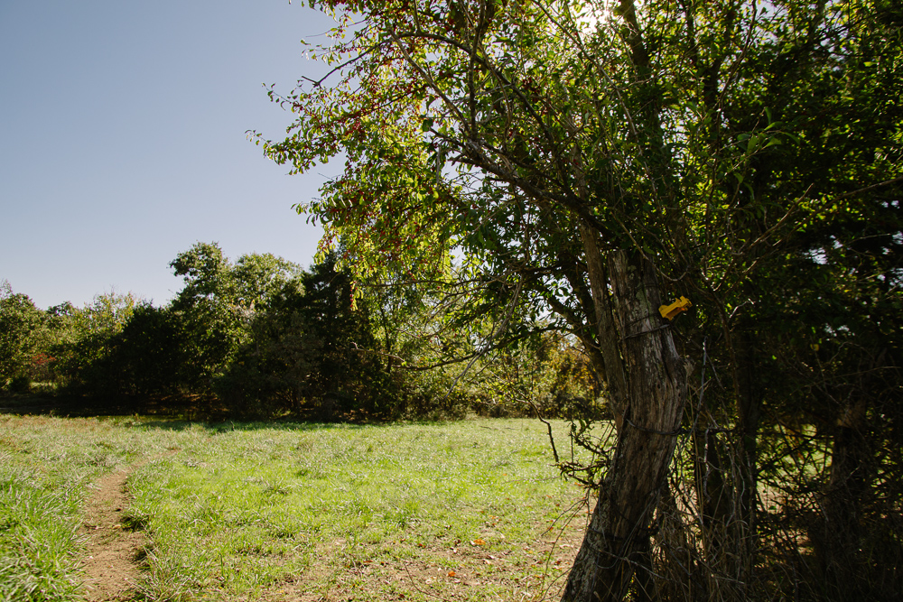 Perfect Build Site near Truman Lake in Lowry City