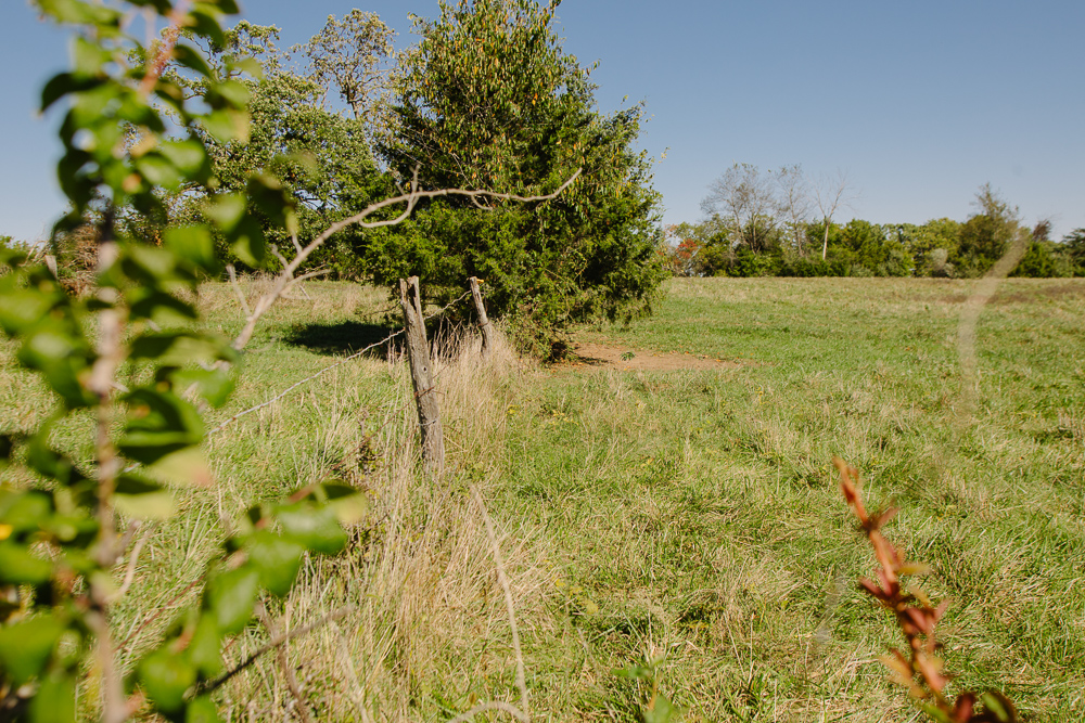 Perfect Build Site near Truman Lake in Lowry City