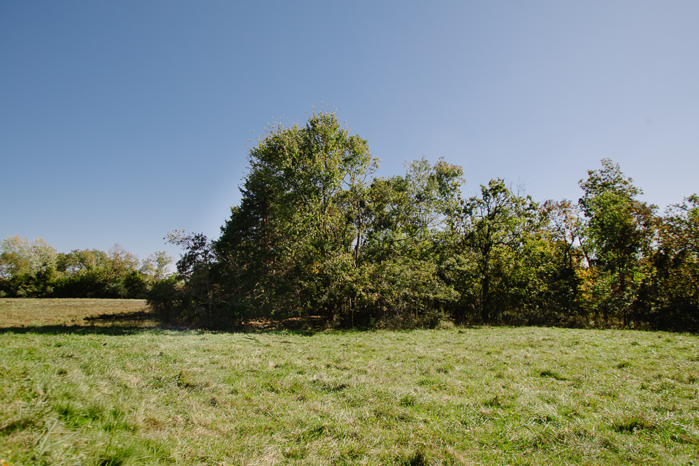 Perfect Build Site near Truman Lake in Lowry City