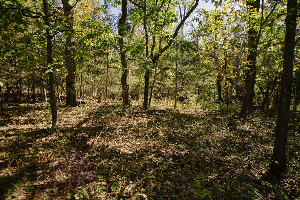 Perfect Build Site near Truman Lake in Lowry City