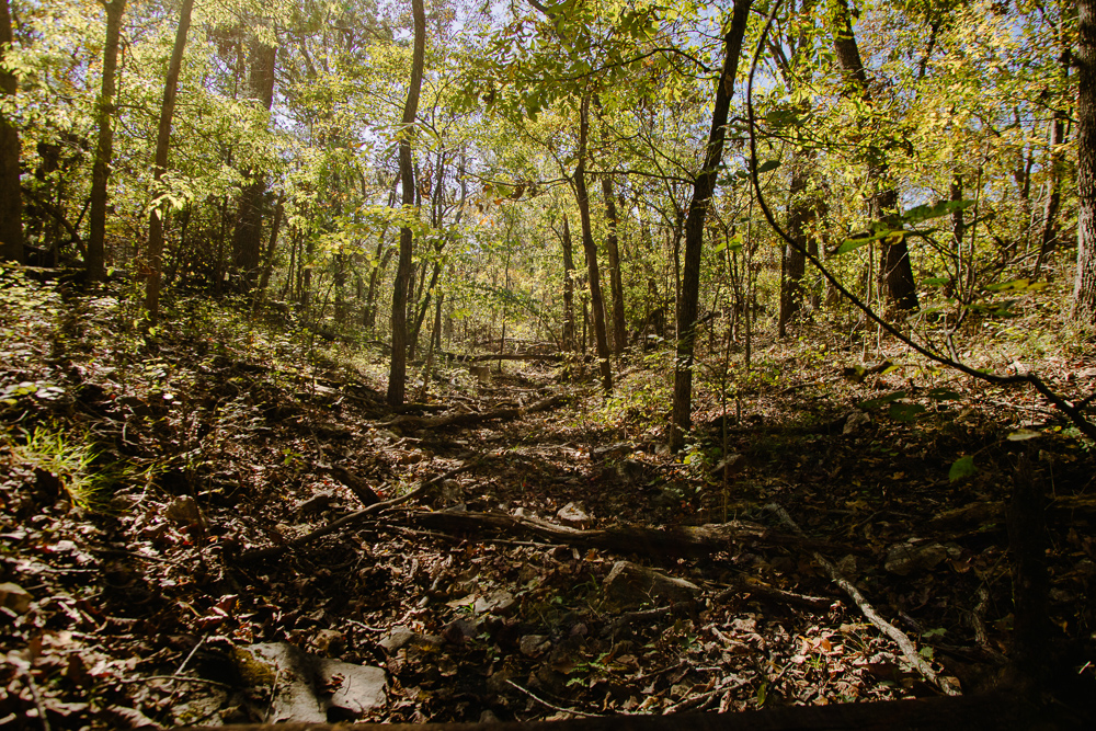 Perfect Build Site near Truman Lake in Lowry City