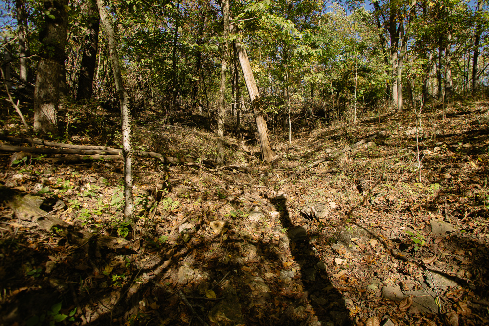 Perfect Build Site near Truman Lake in Lowry City