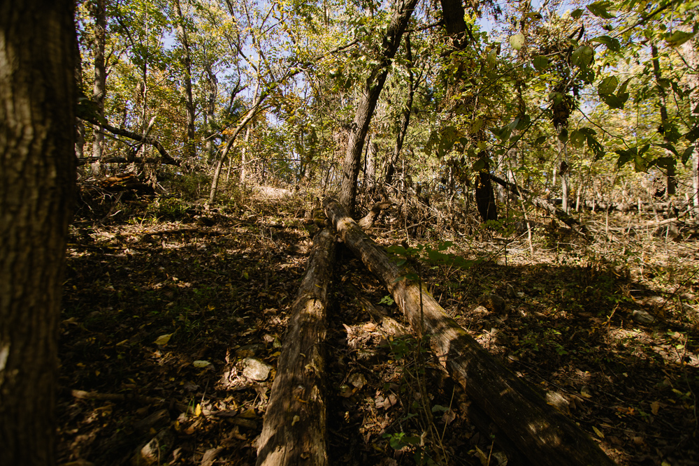 Perfect Build Site near Truman Lake in Lowry City
