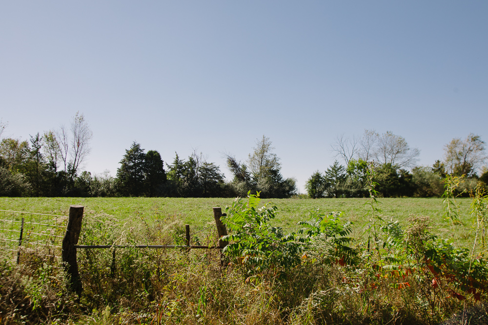 Perfect Build Site near Truman Lake in Lowry City