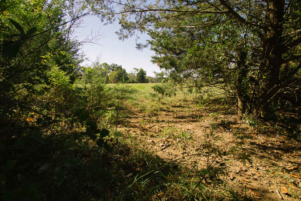 Perfect Build Site near Truman Lake in Lowry City