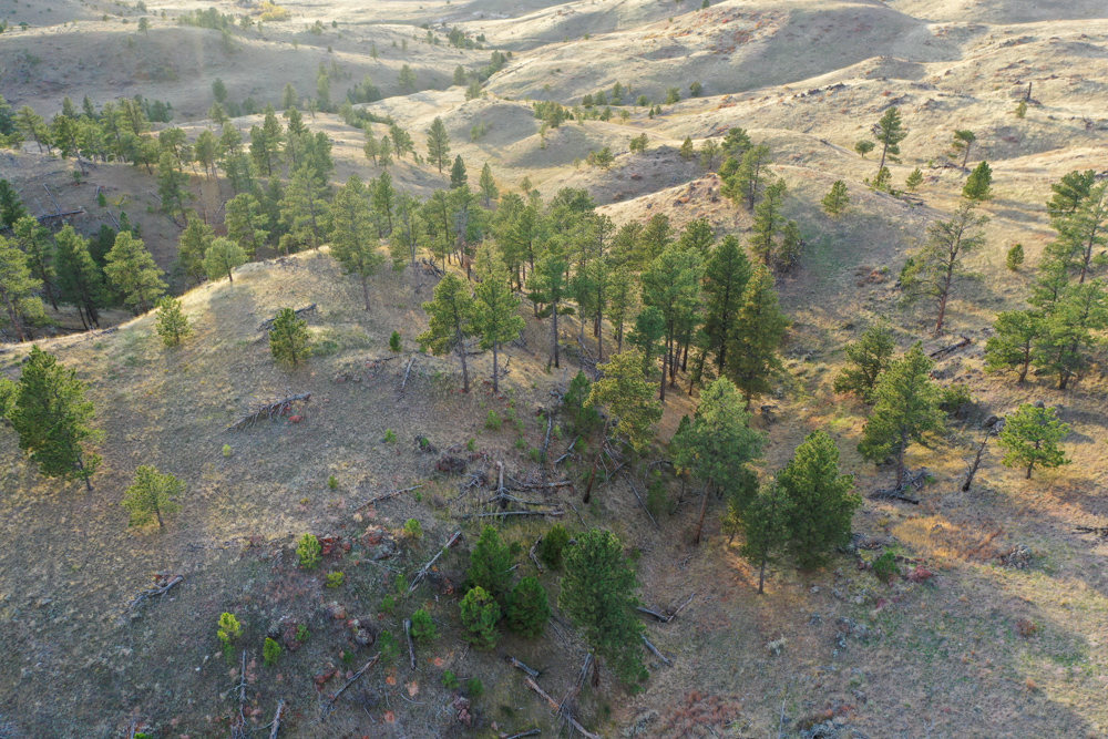 Pine Valley Build Site - Broad Axe Tract A5