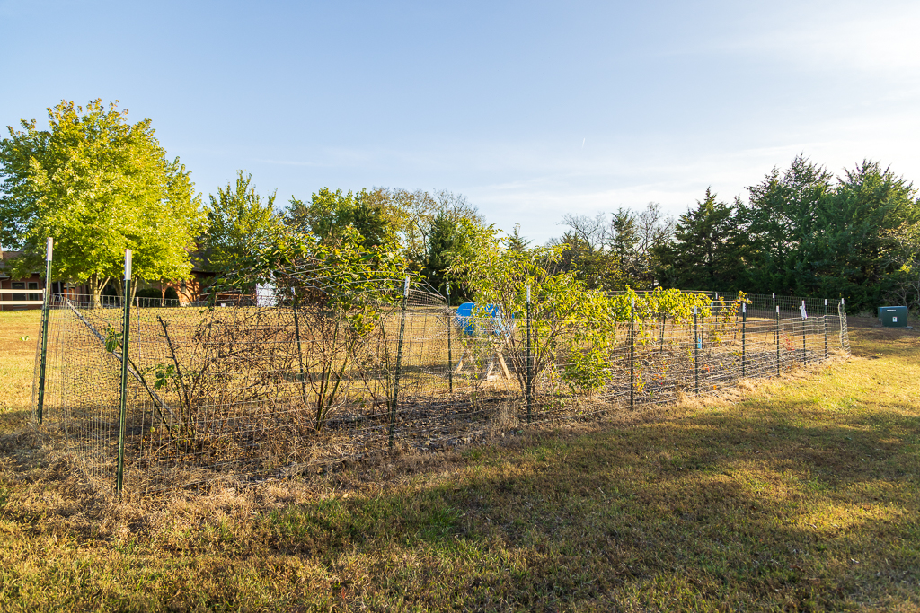 Luxury Country Living with Breathtaking Views 40 Minutes from Overland Park