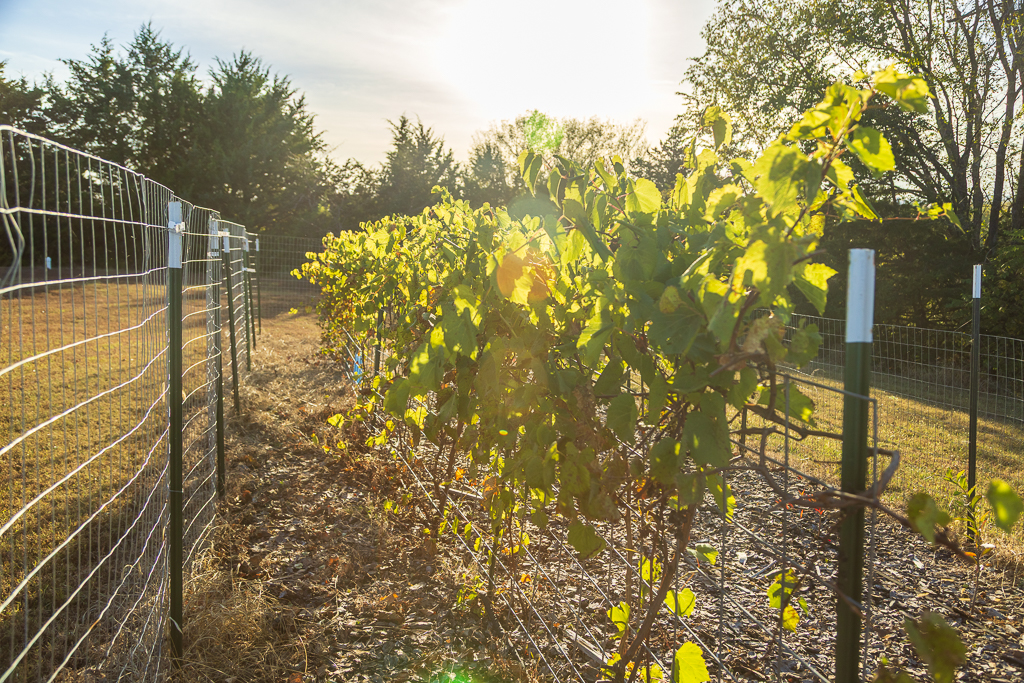 Luxury Country Living with Breathtaking Views 40 Minutes from Overland Park