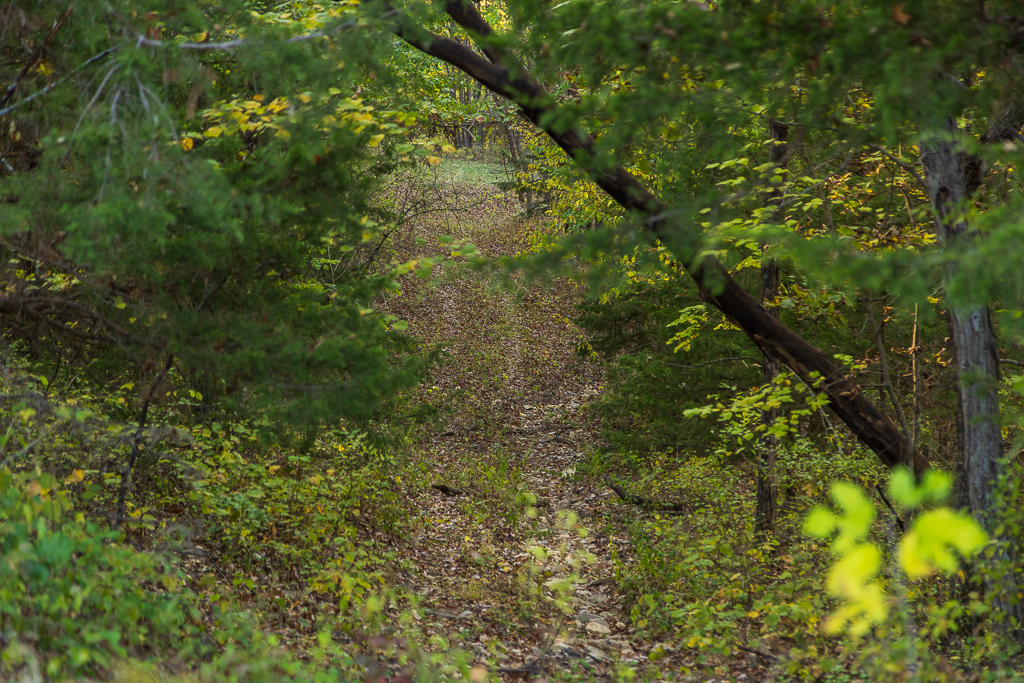 Luxury Country Living with Breathtaking Views 40 Minutes from Overland Park
