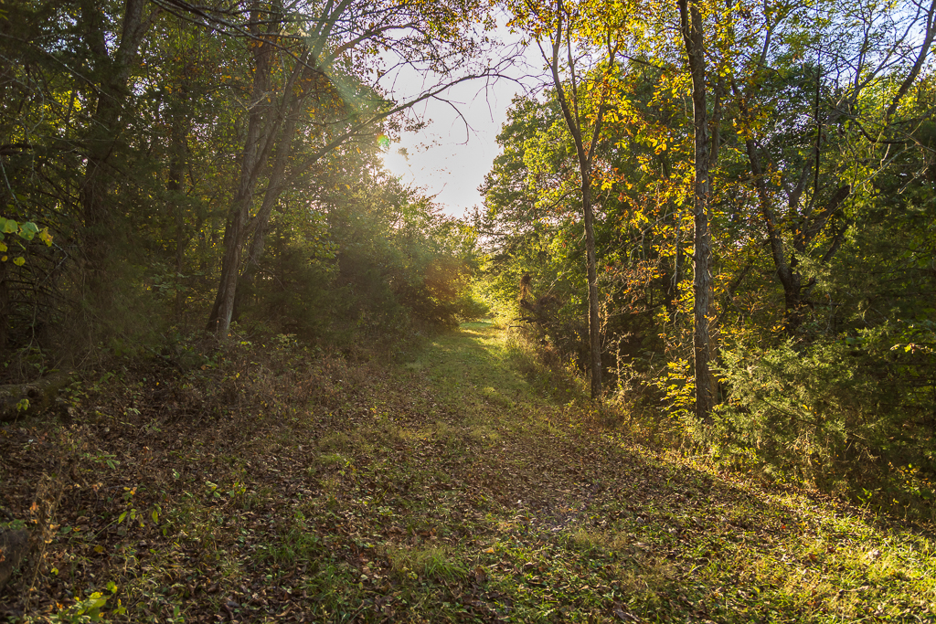 Luxury Country Living with Breathtaking Views 40 Minutes from Overland Park