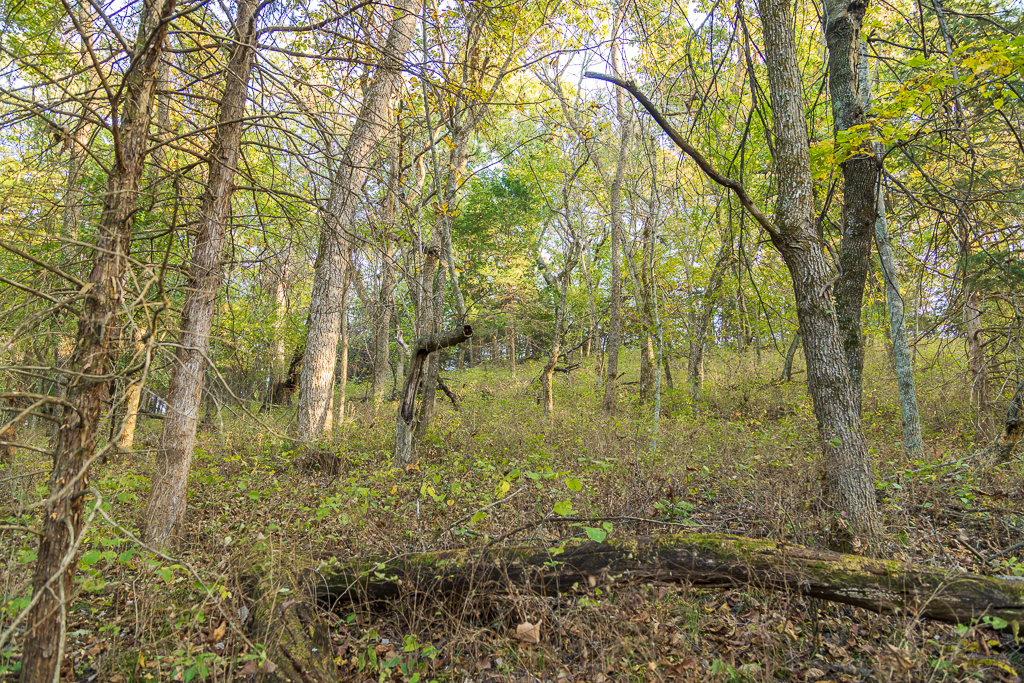 Luxury Country Living with Breathtaking Views 40 Minutes from Overland Park