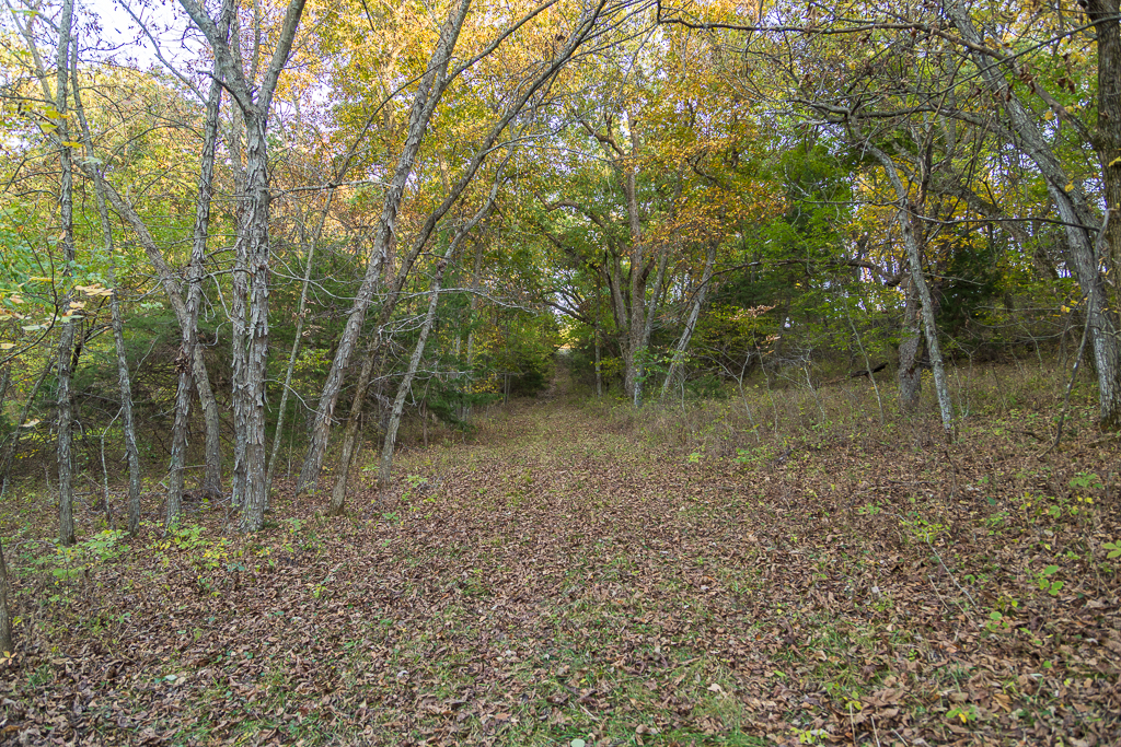 Luxury Country Living with Breathtaking Views 40 Minutes from Overland Park