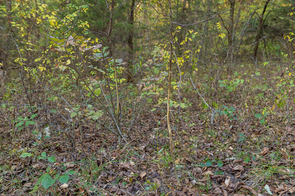 Luxury Country Living with Breathtaking Views 40 Minutes from Overland Park