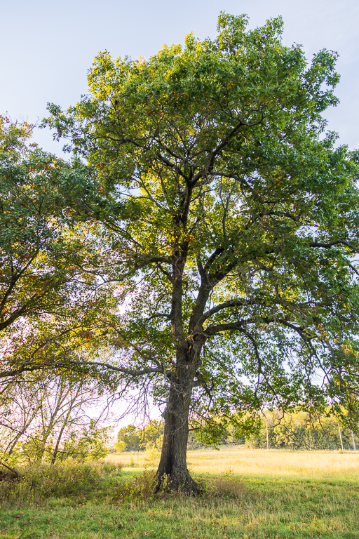 Luxury Country Living with Breathtaking Views 40 Minutes from Overland Park