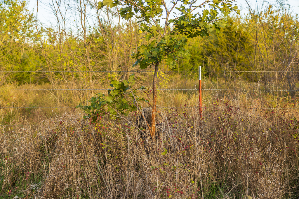 Luxury Country Living with Breathtaking Views 40 Minutes from Overland Park