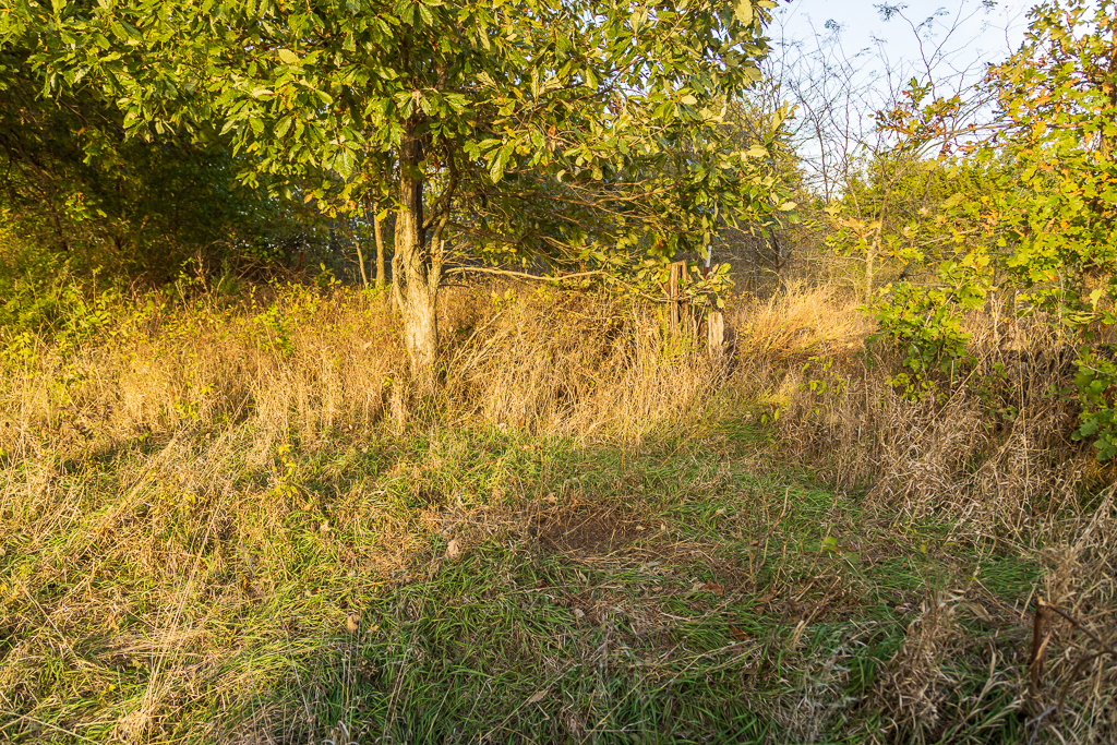 Luxury Country Living with Breathtaking Views 40 Minutes from Overland Park