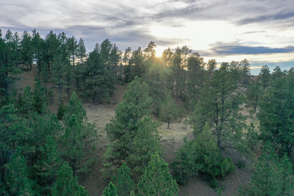 Pine Valley Build Site - Broad Axe Tract A5