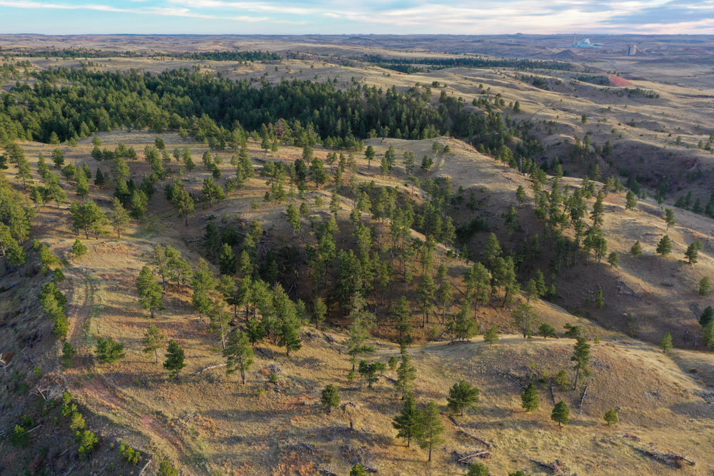 Pine Valley Build Site - Broad Axe Tract A5