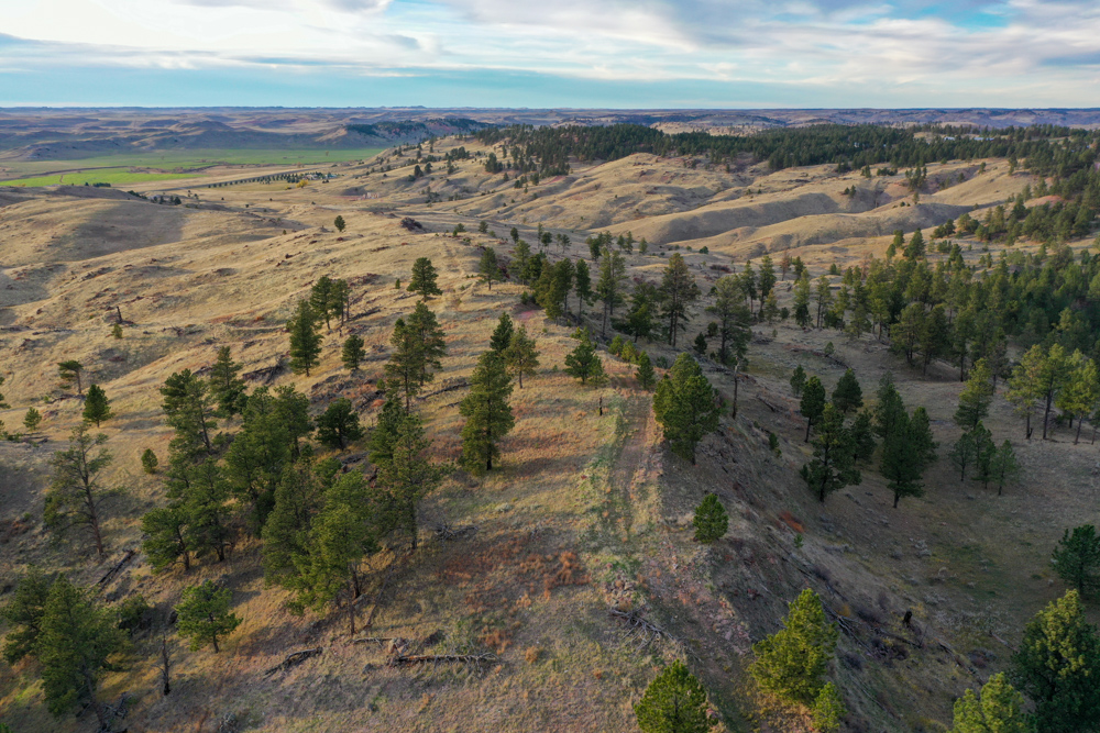 Pine Valley Build Site - Broad Axe Tract A5
