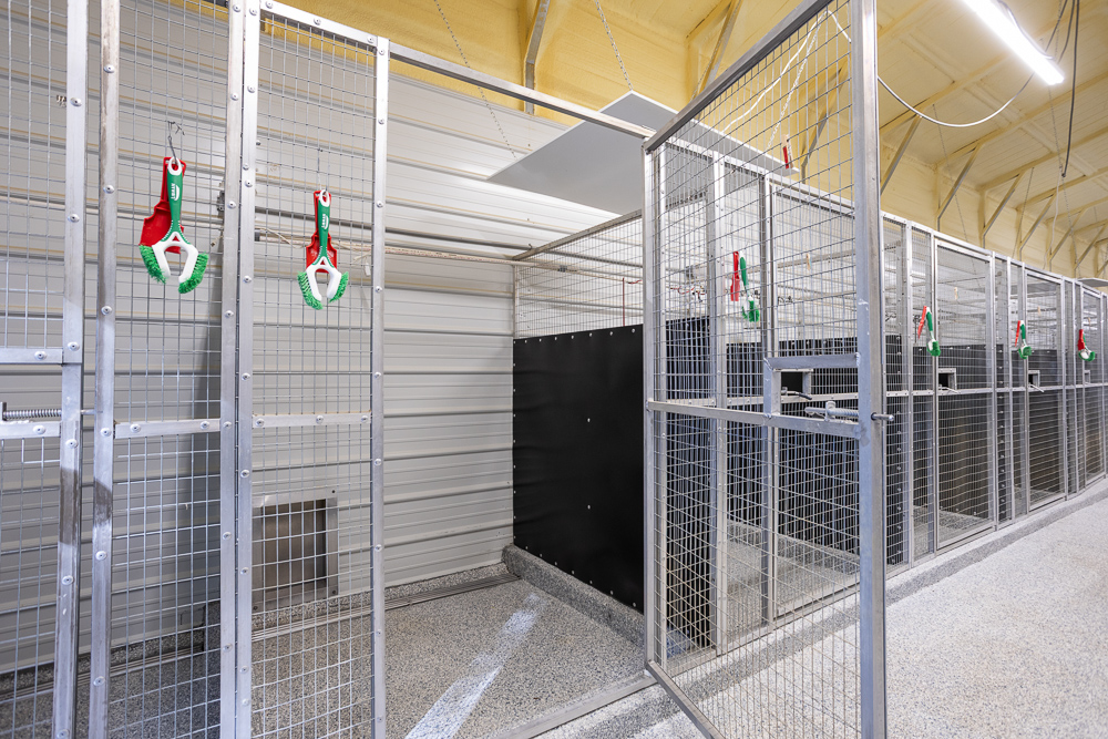 Top of the Line Dog Boarding and Breeding Facility on 30 +/- Acres