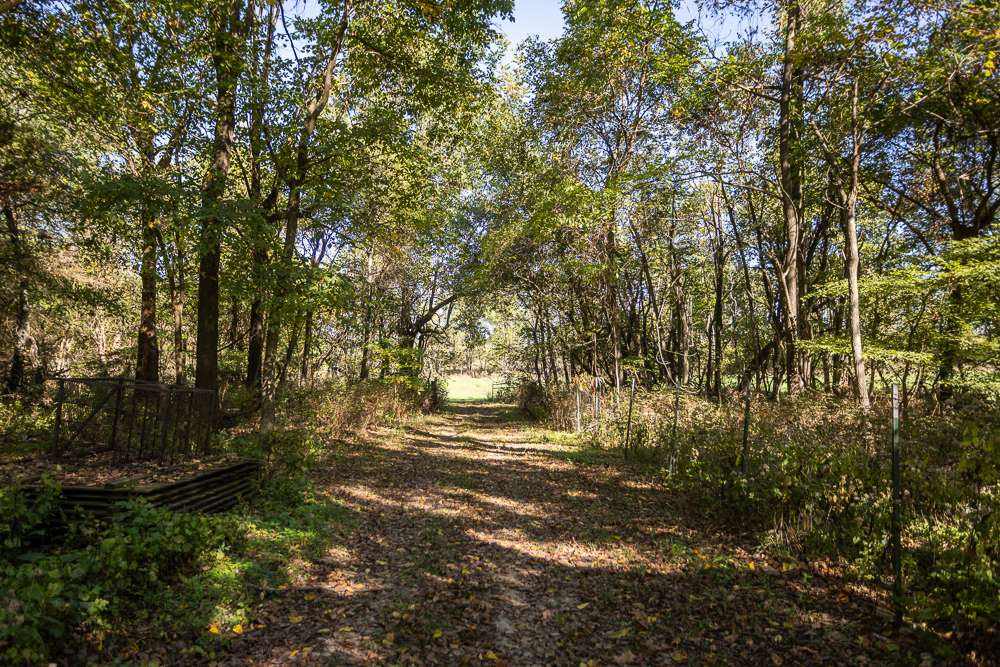 Top of the Line Dog Boarding and Breeding Facility on 30 +/- Acres