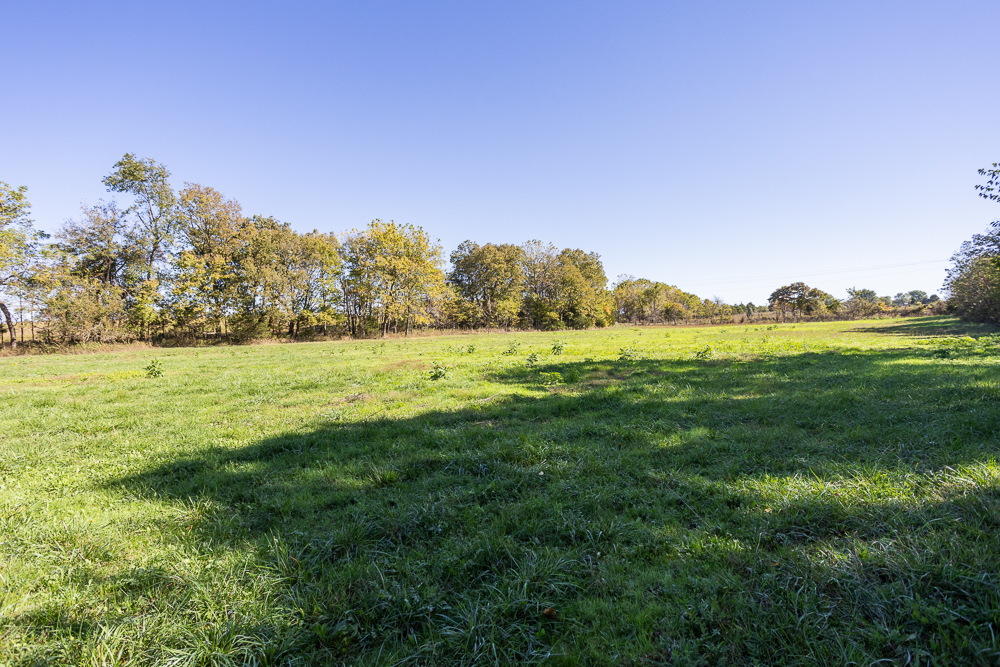 Top of the Line Dog Boarding and Breeding Facility on 30 +/- Acres