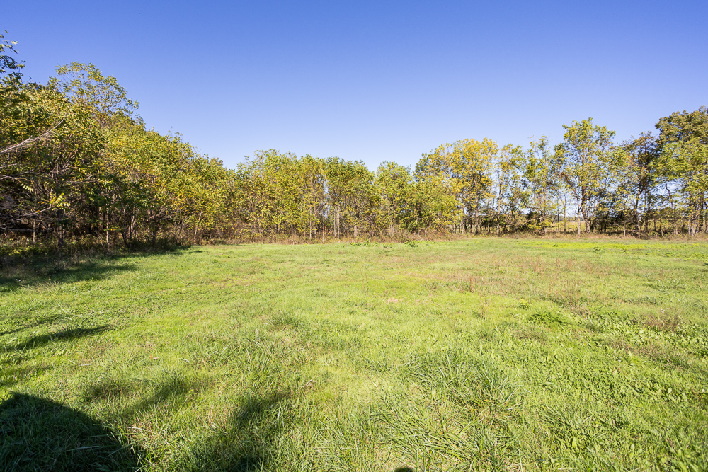 Top of the Line Dog Boarding and Breeding Facility on 30 +/- Acres