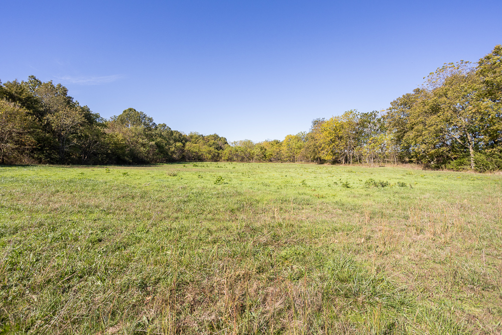 Top of the Line Dog Boarding and Breeding Facility on 30 +/- Acres