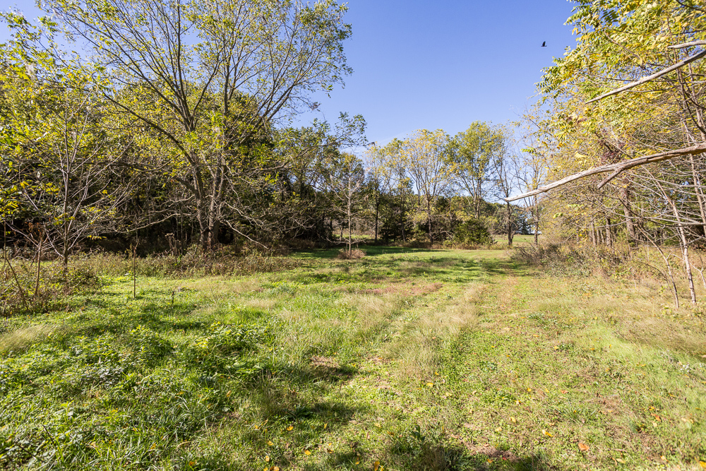 Top of the Line Dog Boarding and Breeding Facility on 30 +/- Acres