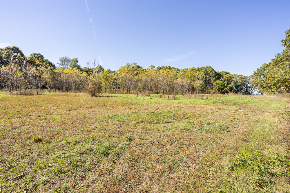 Top of the Line Dog Boarding and Breeding Facility on 30 +/- Acres
