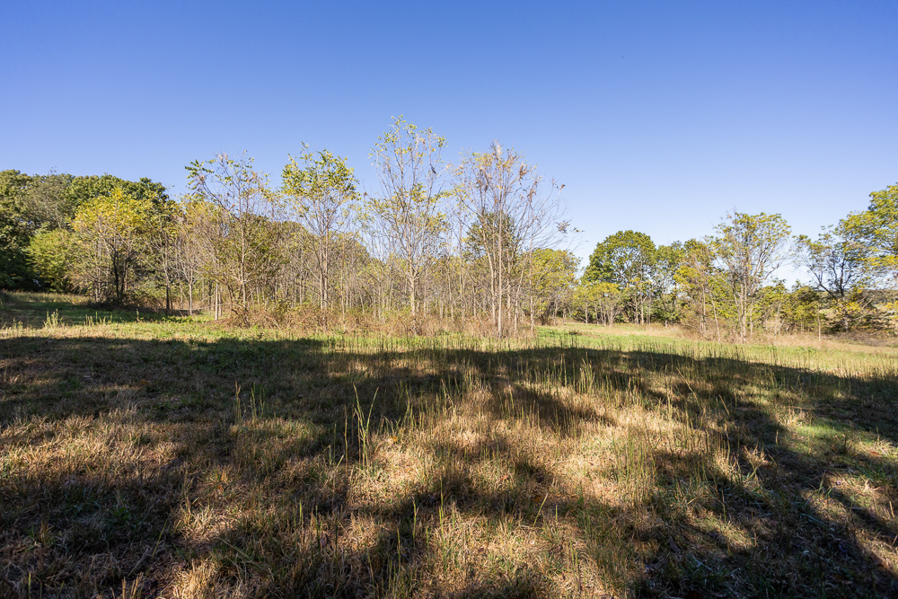 Top of the Line Dog Boarding and Breeding Facility on 30 +/- Acres