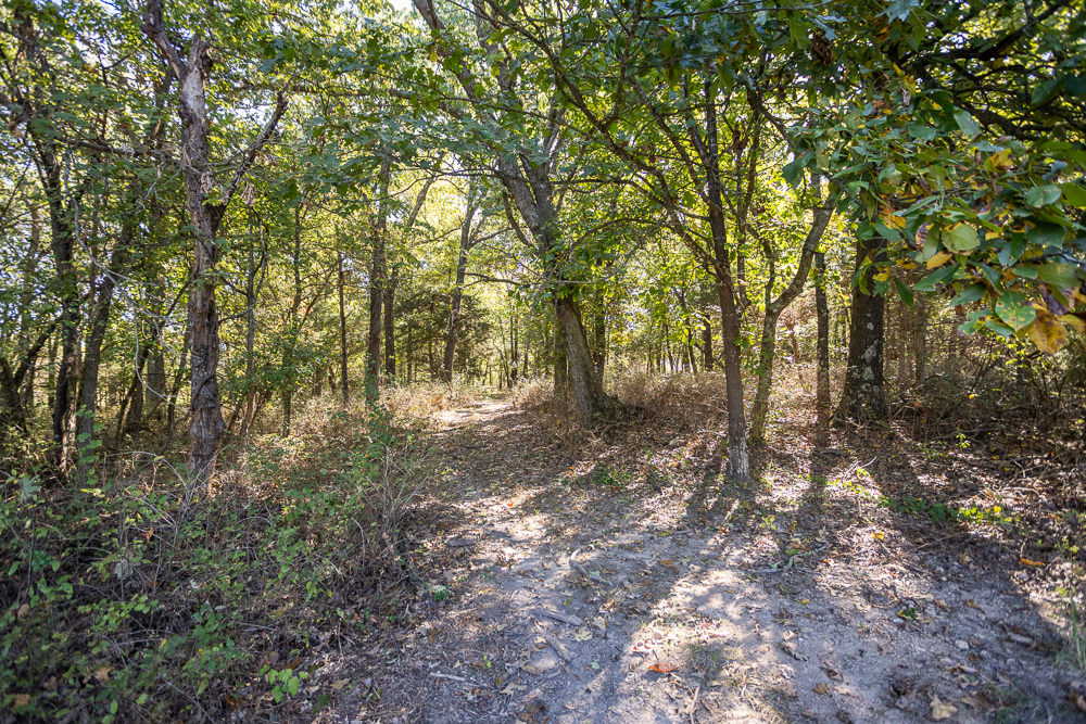Top of the Line Dog Boarding and Breeding Facility on 30 +/- Acres
