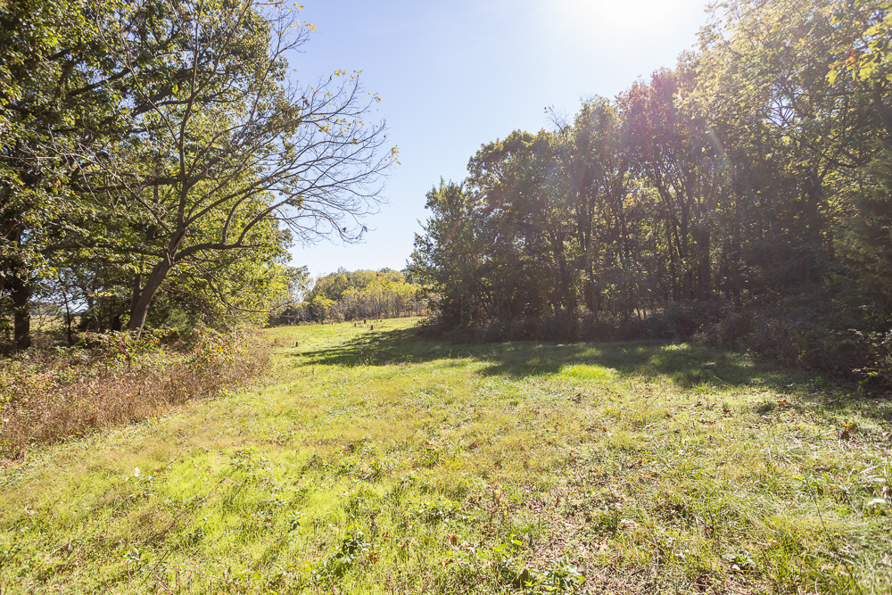 Top of the Line Dog Boarding and Breeding Facility on 30 +/- Acres