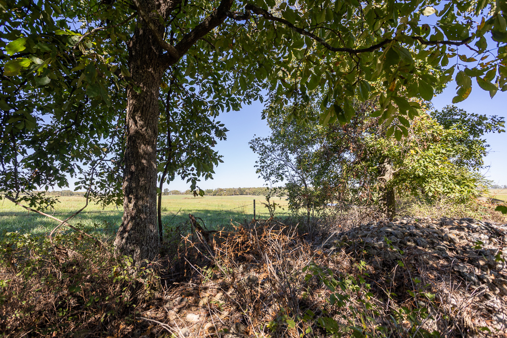 Top of the Line Dog Boarding and Breeding Facility on 30 +/- Acres