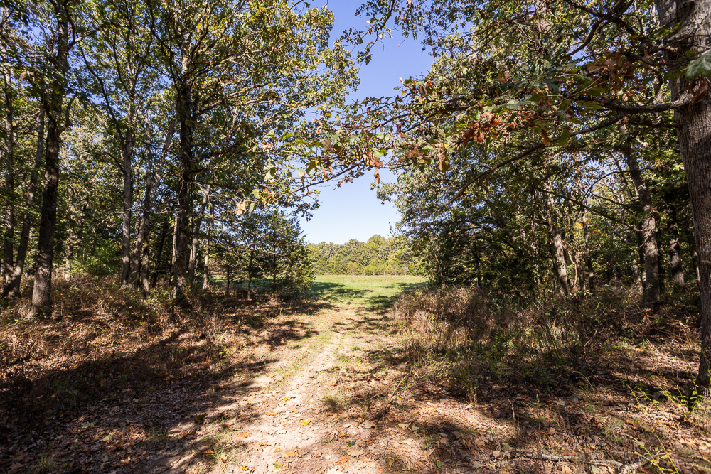Top of the Line Dog Boarding and Breeding Facility on 30 +/- Acres