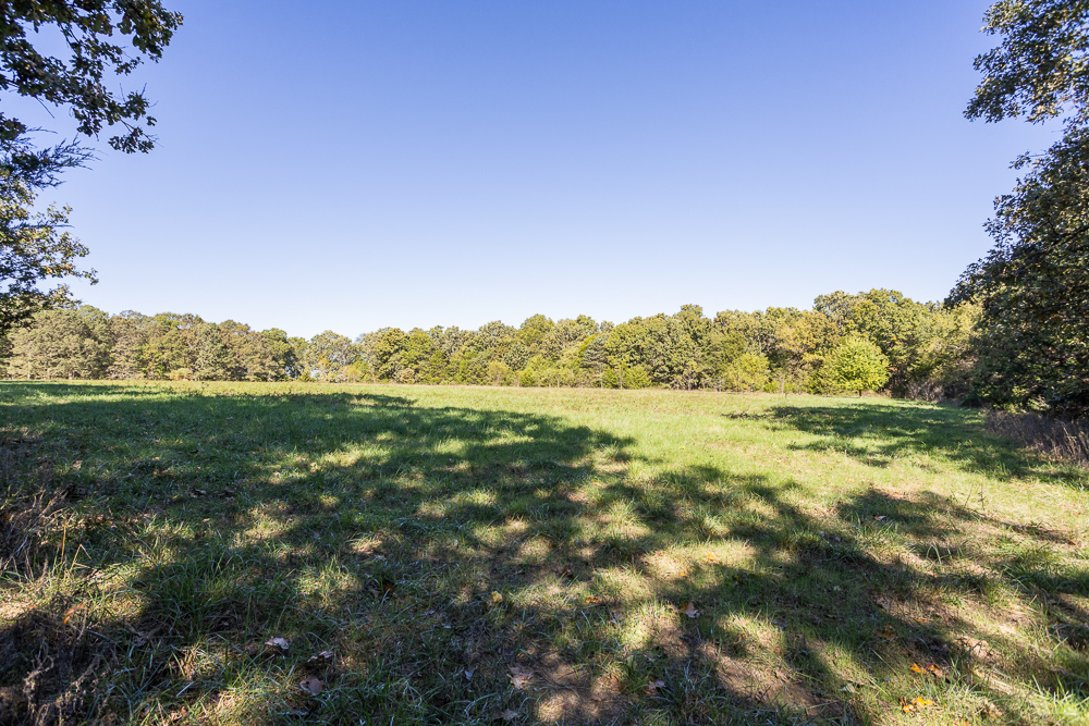Top of the Line Dog Boarding and Breeding Facility on 30 +/- Acres